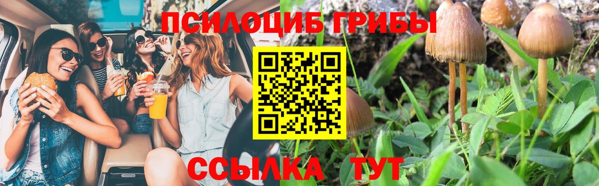 как найти   Галлюциногенные грибы Cubensis  Вход с VPN  Ейск 